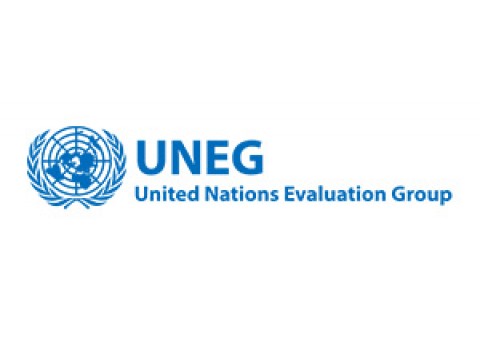 United Nations Evaluation Group – UNEG