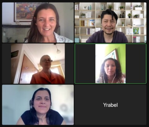 Reunión de acercamiento y apoyo entre ReLAC y VENEVAL (Red Venezolana de Evaluación)