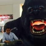 Foto del perfil de Alirio Zelaya